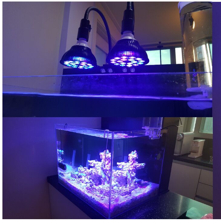 Aquarium Marine Plants - Free customize LED Aquarium light led