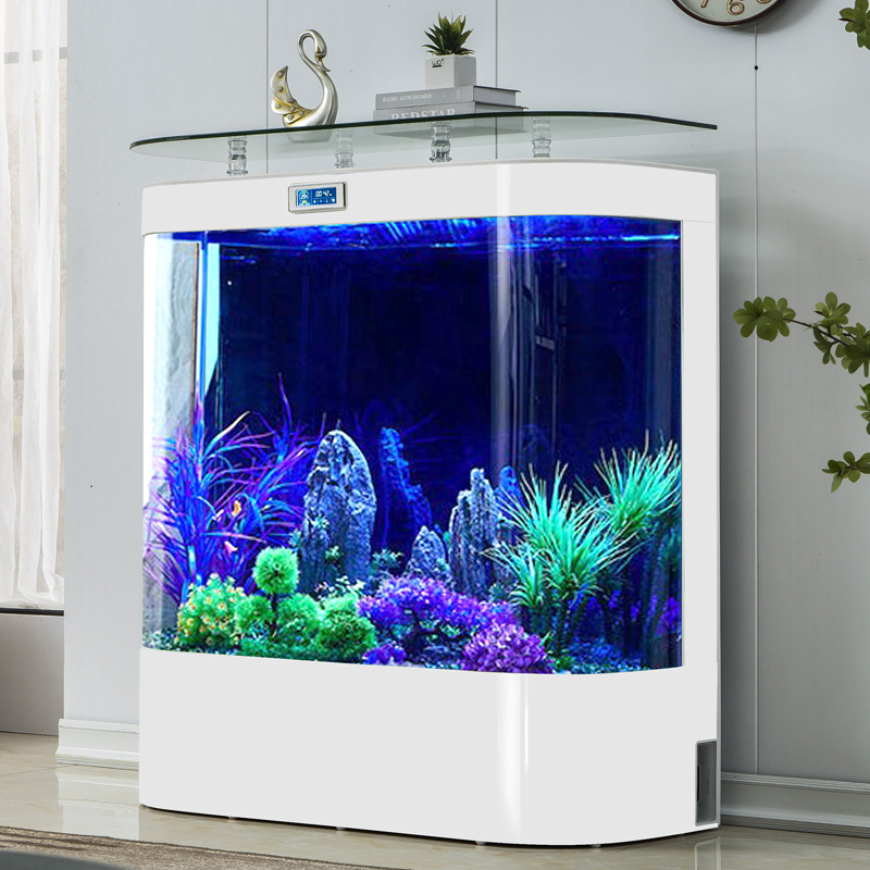 Marine Aquarium Water Change - Marine Aquarium: Large-to-Medium Size Double-Curved Freestanding