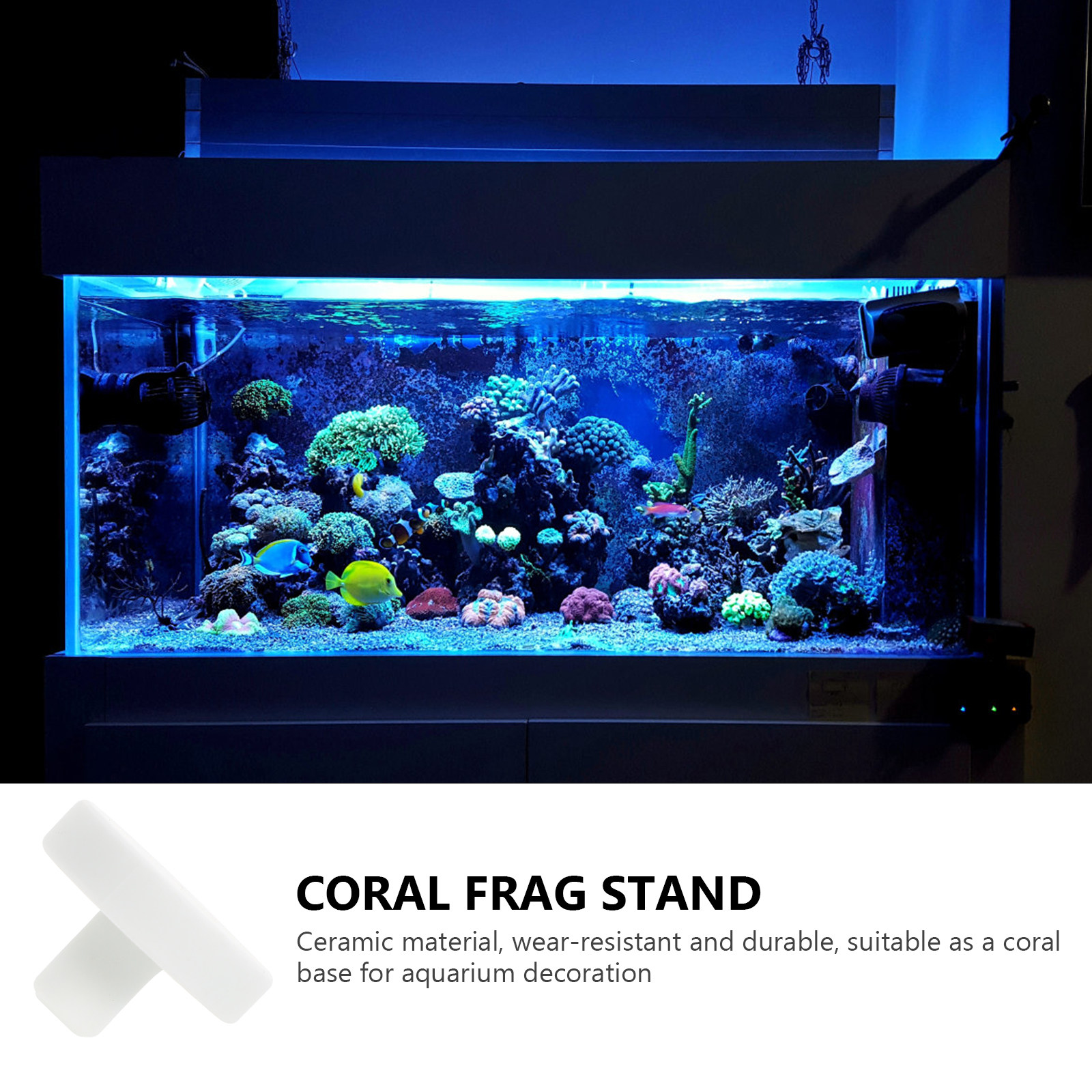 10Pcs Coral Frag Base Ceramic  - огляд і ціна Coral Frag Plug