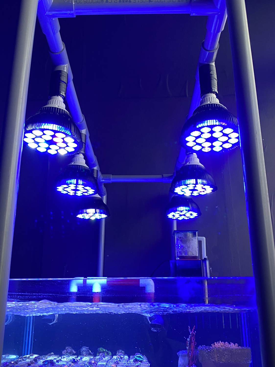 Full Spectrum LED Aquarium Ree - огляд і ціна Marine Aquarium Lamp