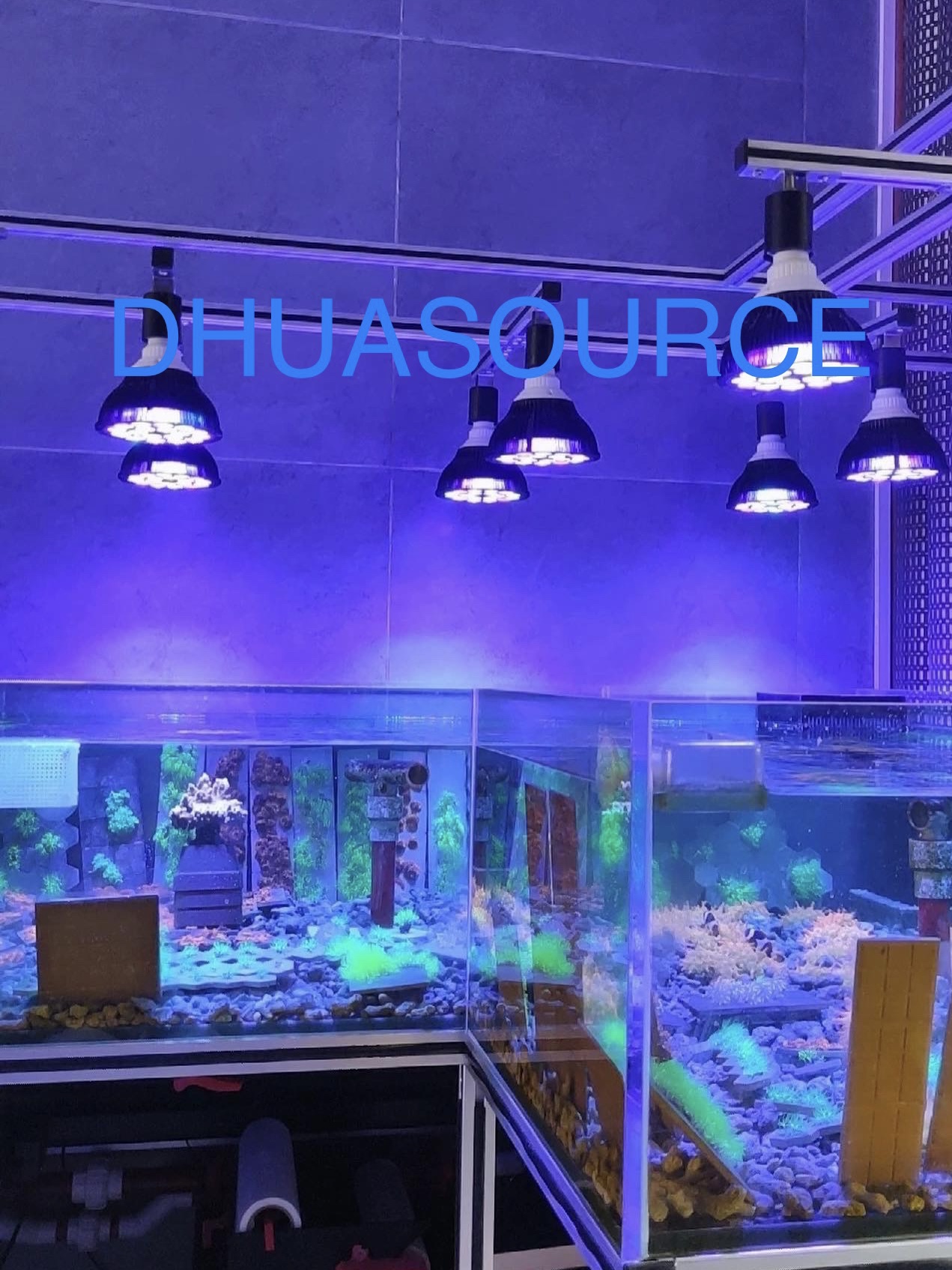 Full Spectrum LED Aquarium Ree - огляд і ціна Marine Aquarium Lamp