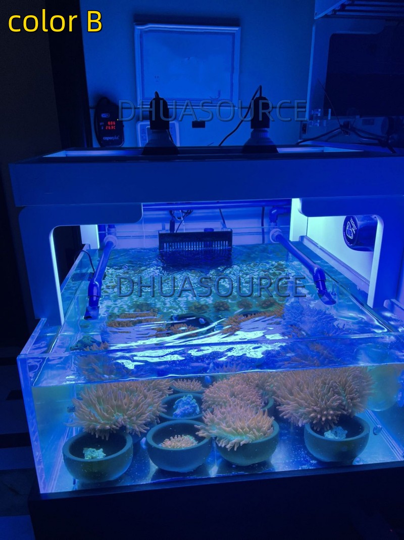 Full Spectrum LED Aquarium Ree - огляд і ціна Marine Aquarium Lamp