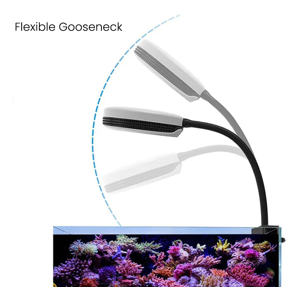 Spectra SP20 20W Aquarium LED  - огляд і ціна Marine Aquarium Led Lights