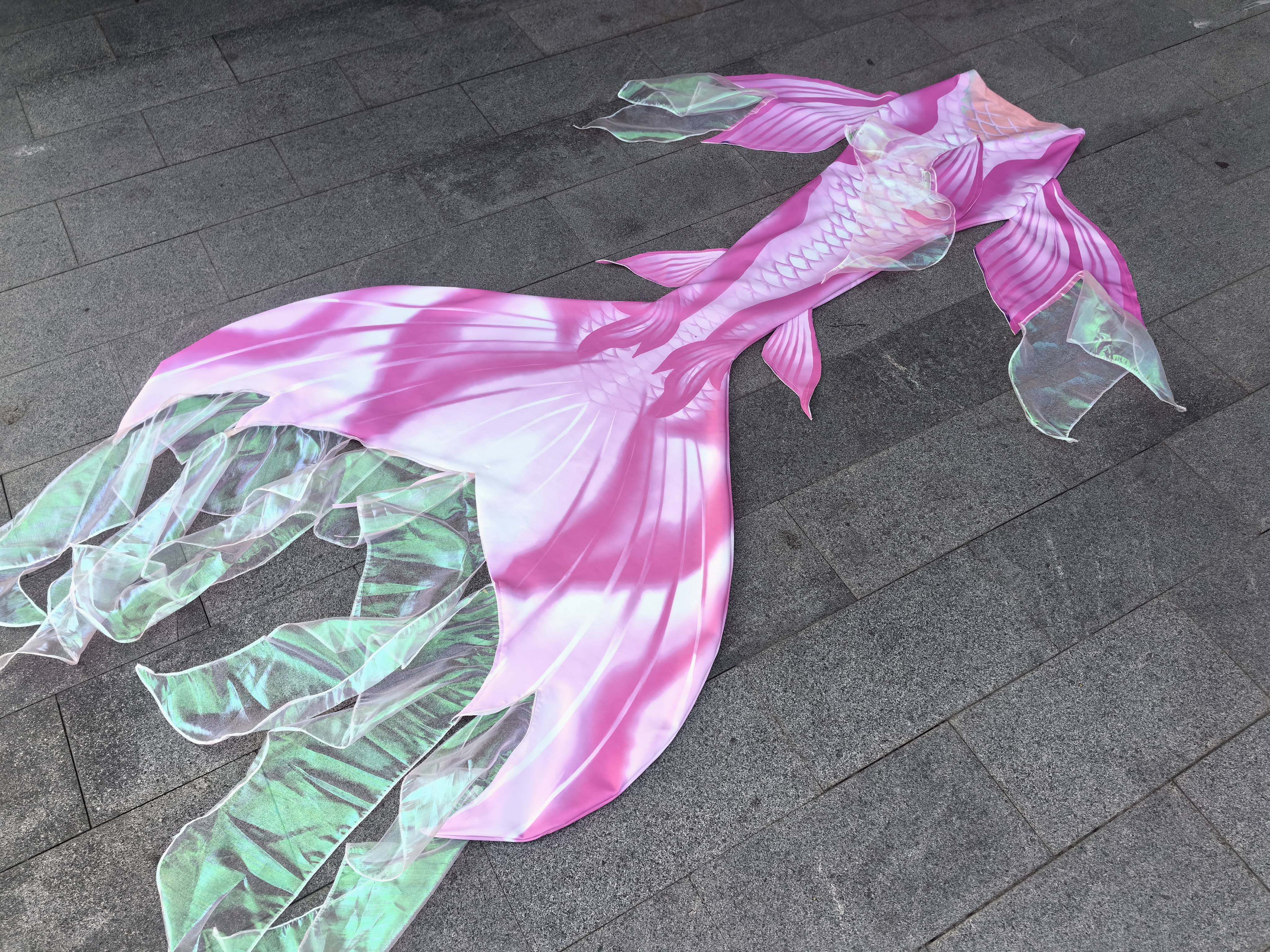 Mermaid Tail Swimsuit Aquarium - огляд і ціна Aquarium & Marine Museum Universiti Malaysia Sabah Kota Kinabalu Sabah Reviews