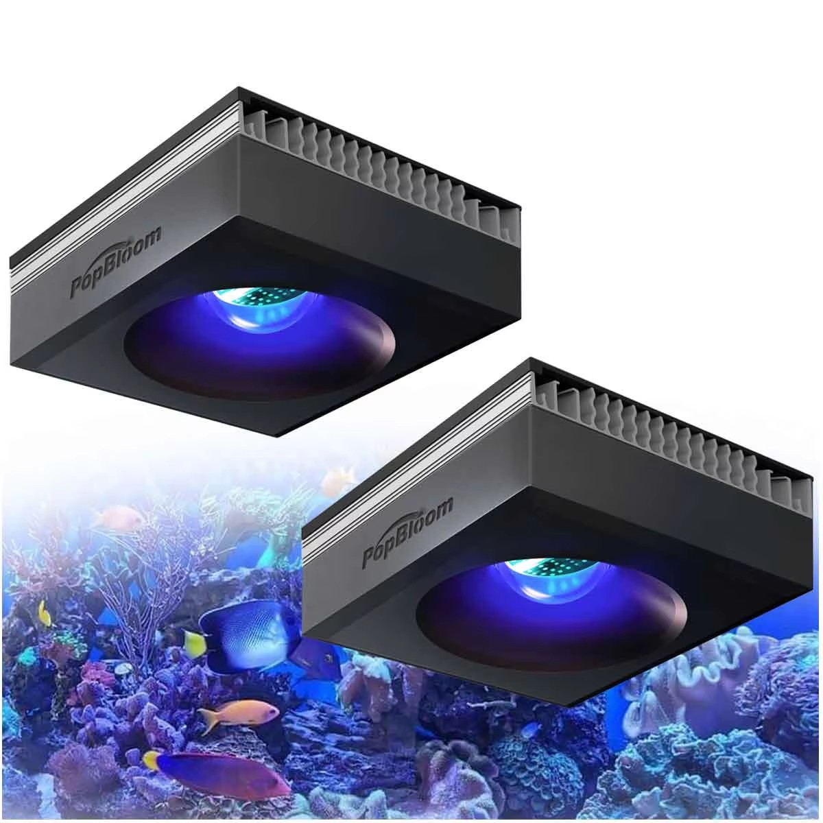 PopBloom RL90 WiFi Reef Aquari - огляд і ціна Marine Aquarium Led Lights