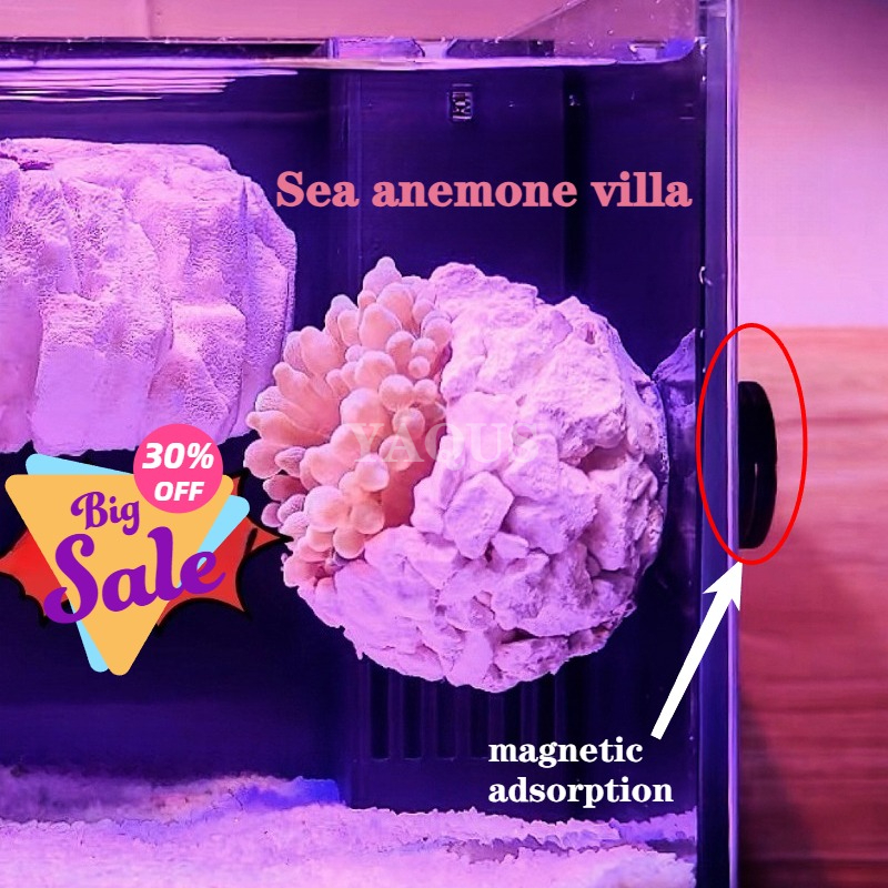 New DIY Handmade Floating Magn - огляд і ціна Coral Frag Plug