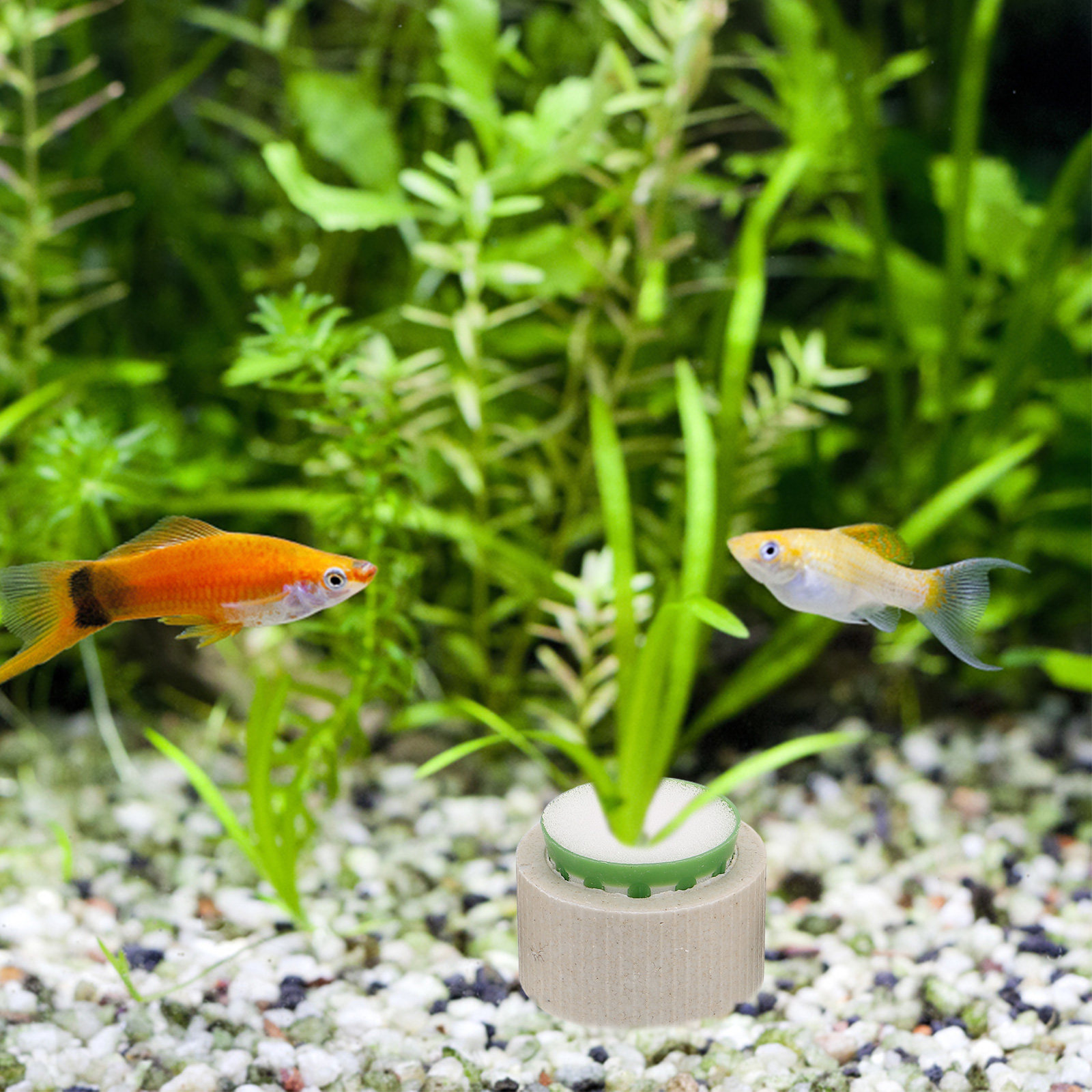 9Pcs Aquarium Ceramic Plant Ho - огляд і ціна Aquarium Marine Plants