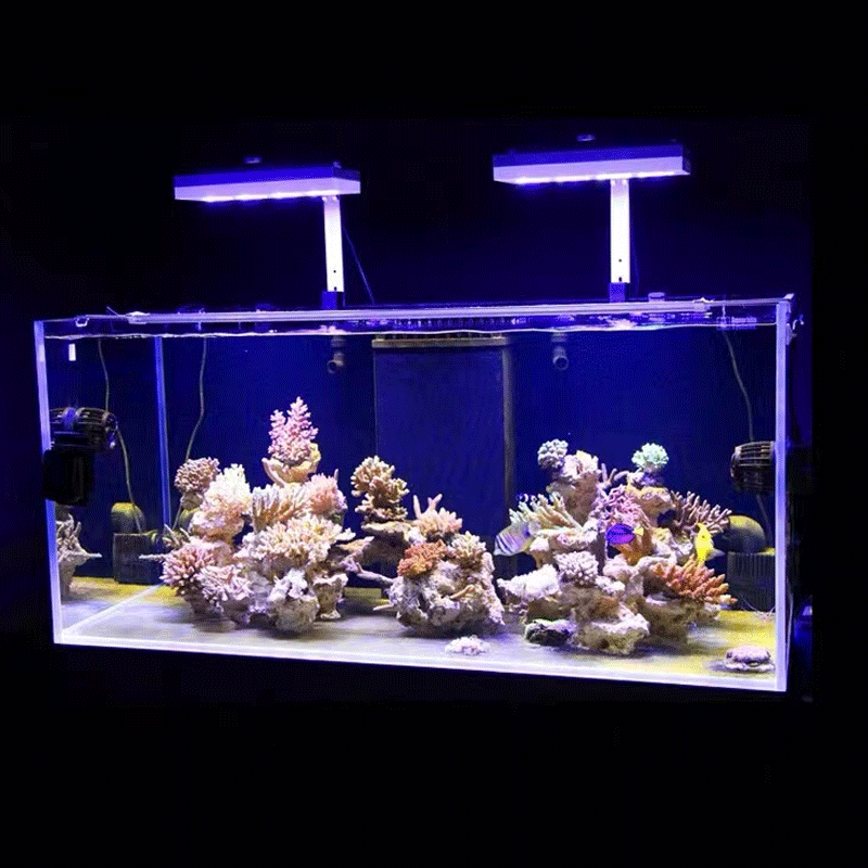 Aqua Illumination AI Hydra 32H - огляд і ціна Marine Aquarium Led Lights