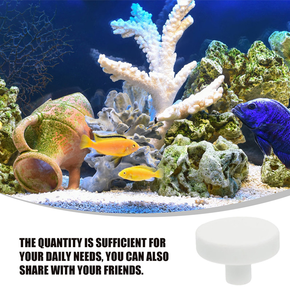 30Pcs Coral Frag Plugs Ceramic - огляд і ціна Coral Frag Plug