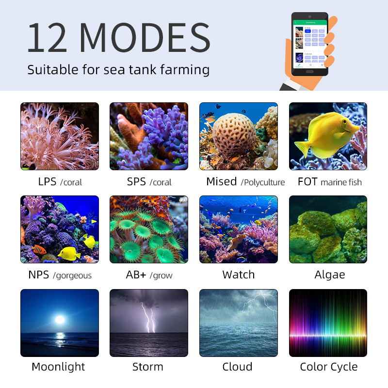ZXY Hot Sale WEEKAQUA Z250 Z40 - огляд і ціна Marine Aquarium Led Lights