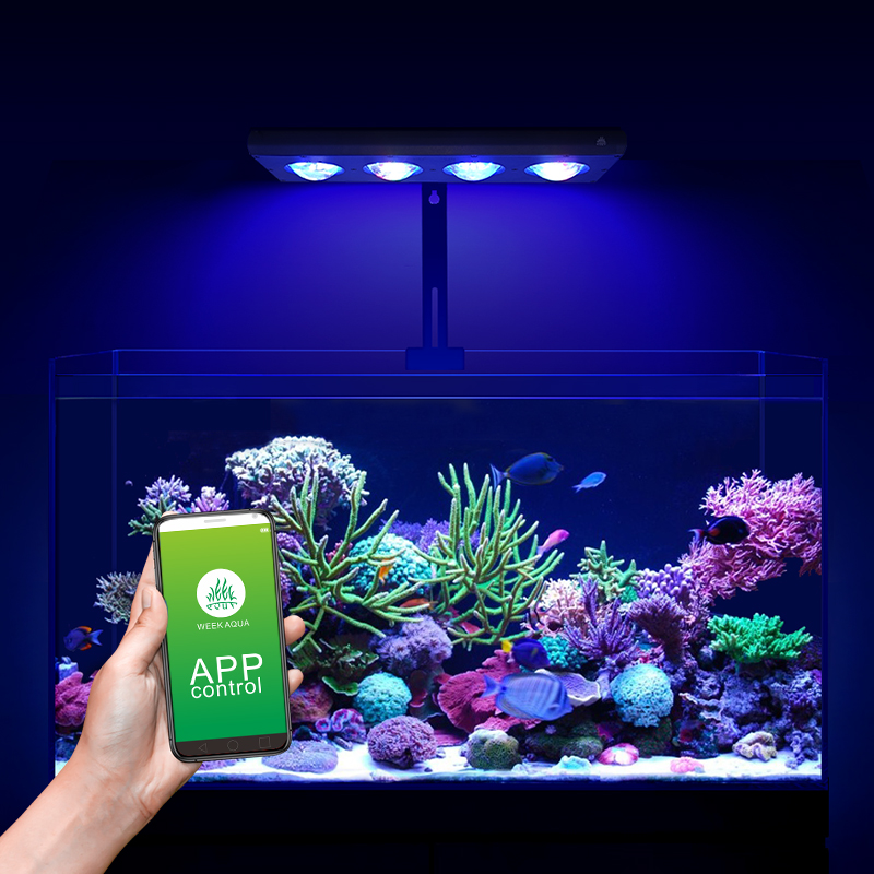 ZXY Hot Sale WEEKAQUA Z250 Z40 - огляд і ціна Marine Aquarium Led Lights