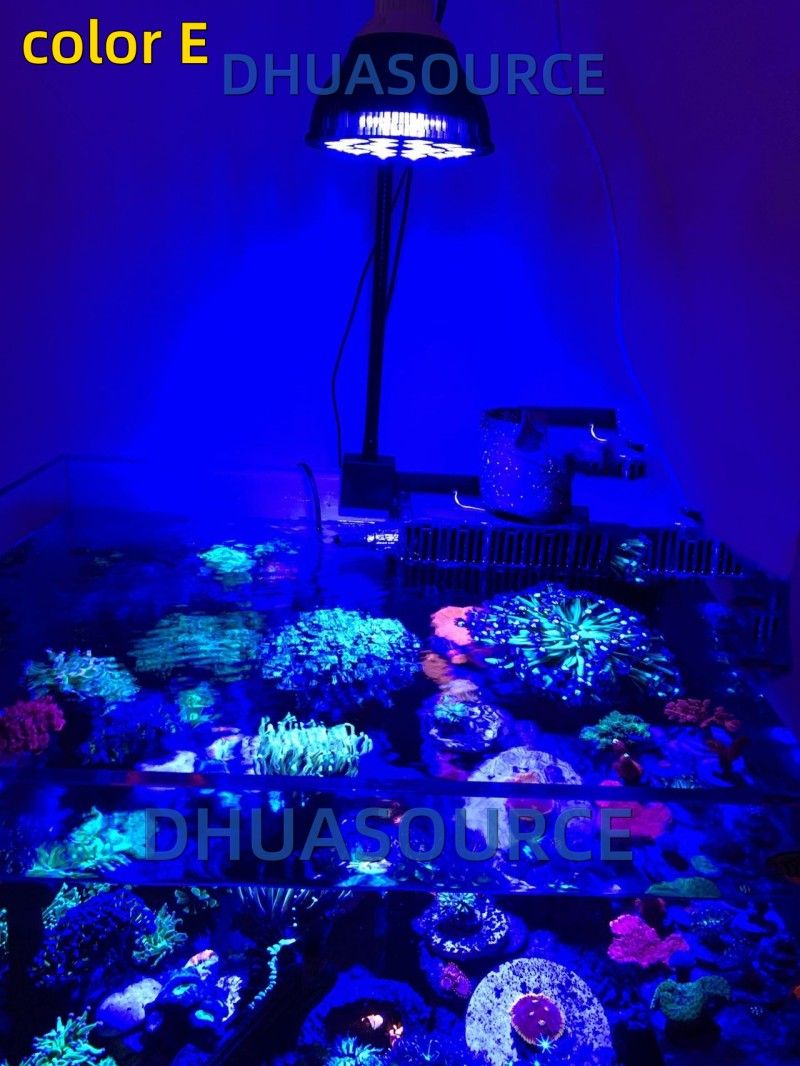 Free customize LED Aquarium li - огляд і ціна Aquarium Marine Plants