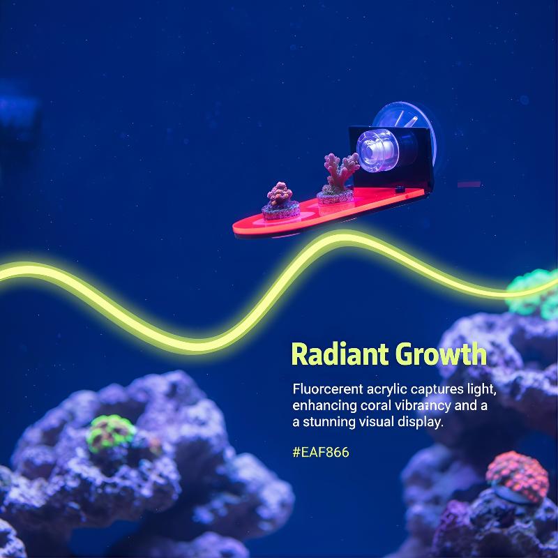 Acrylic Coral Frag Bracket 1Pc - огляд і ціна Coral Frag Plug
