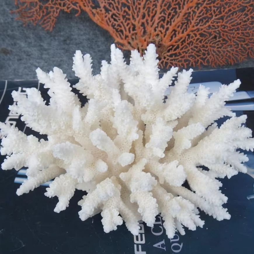 1pc Natural White Coral Cluste - огляд і ціна Marine Aquarium Decorations