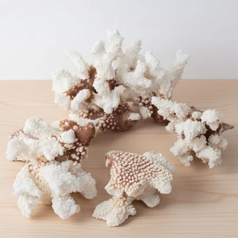 1pc Natural White Coral Cluste - огляд і ціна Marine Aquarium Decorations