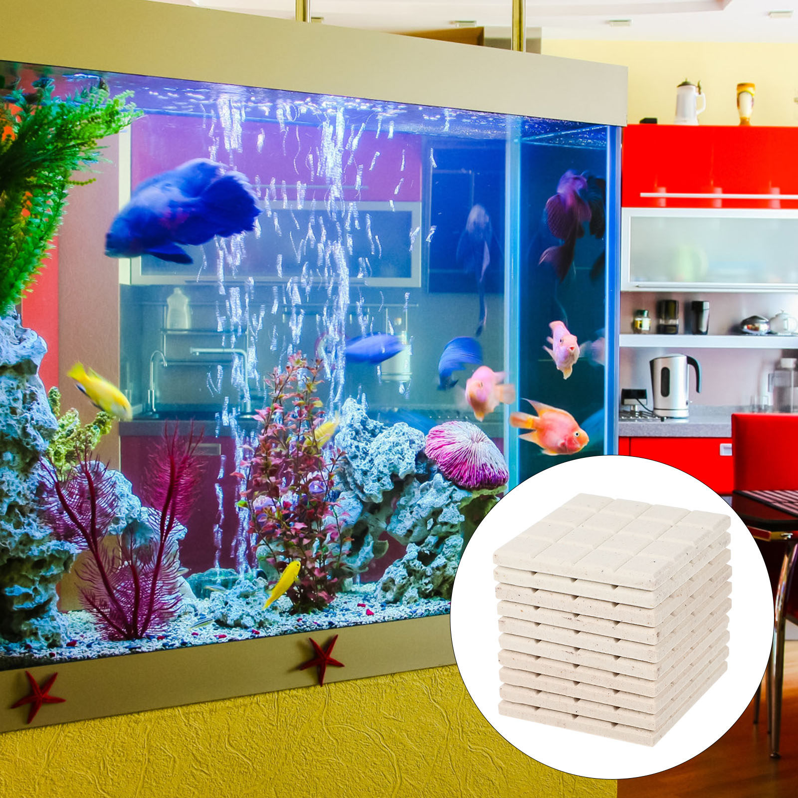 10Pcs Aquarium Coral Holder Ce - огляд і ціна Coral Frag Plug