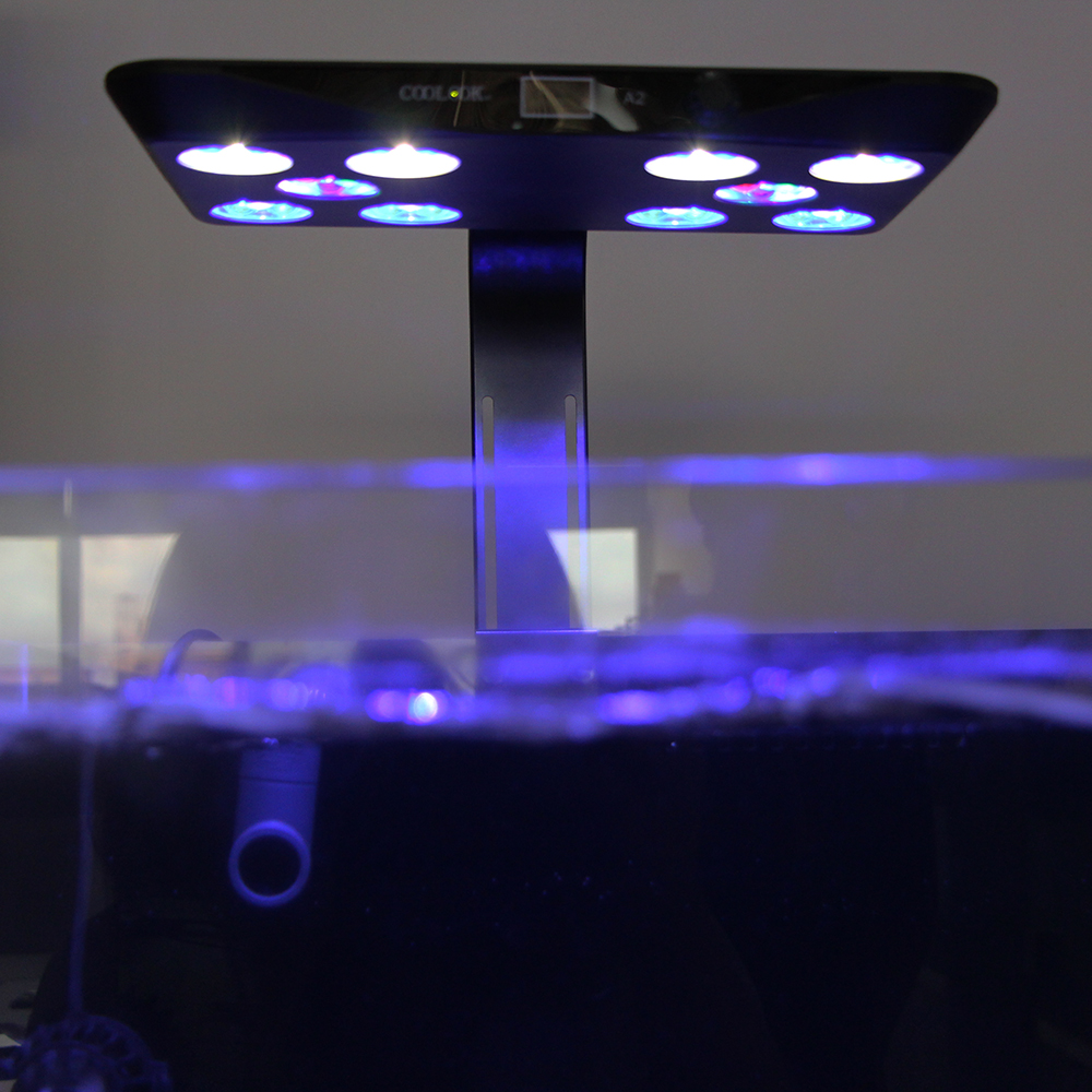 Aquariums Lights Full Spectrum - огляд і ціна Aquarium Marine Plants