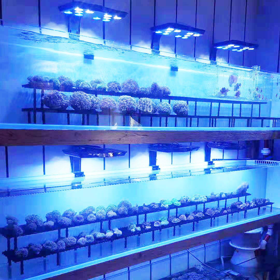 Aquariums Lights Full Spectrum - огляд і ціна Aquarium Marine Plants
