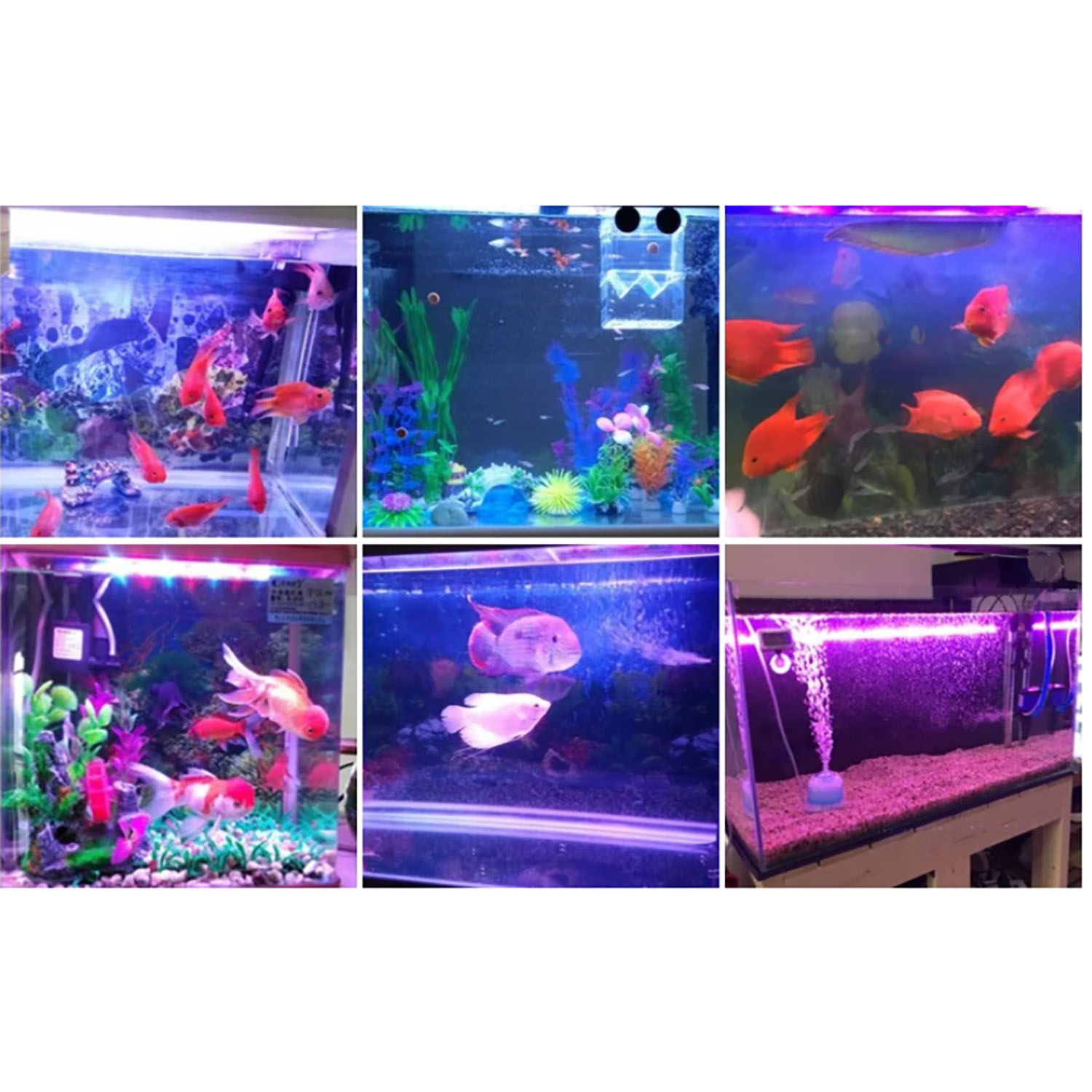 50W 60W 70W 100W RGB 26-28V Hi - огляд і ціна Marine Aquarium Led Lights