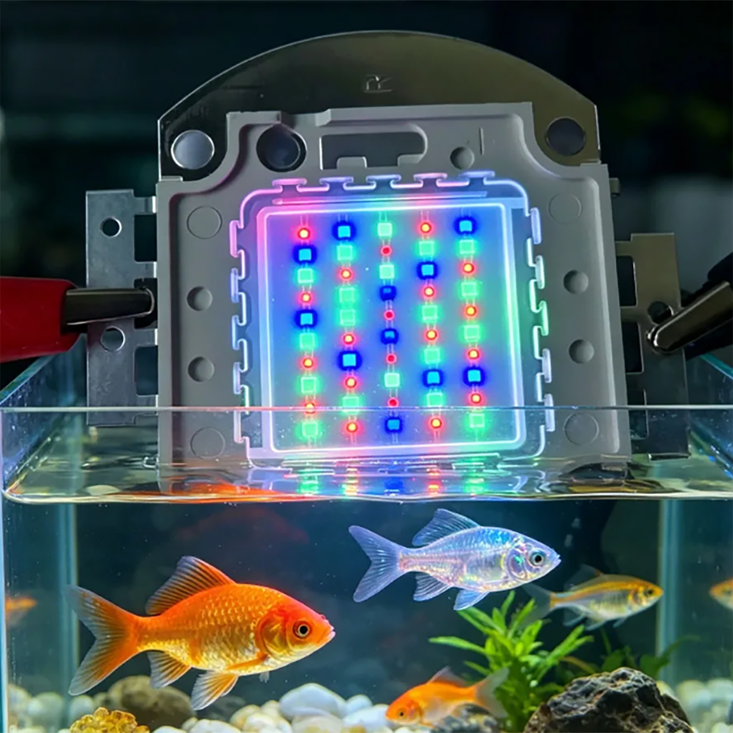 50W 60W 70W 100W RGB 26-28V Hi - огляд і ціна Marine Aquarium Led Lights