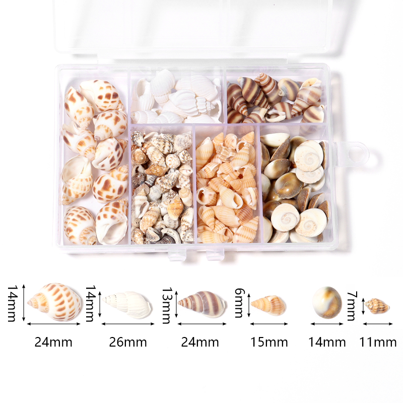 1 Box Sea Shells Spiral Shell  - огляд і ціна Marine Aquarium Decorations