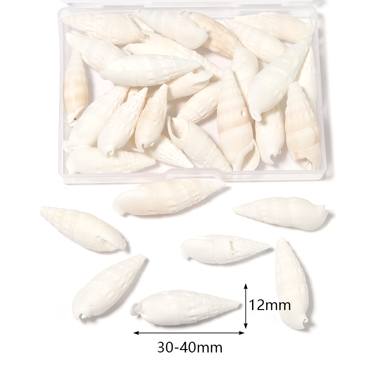 1 Box Sea Shells Spiral Shell  - огляд і ціна Marine Aquarium Decorations