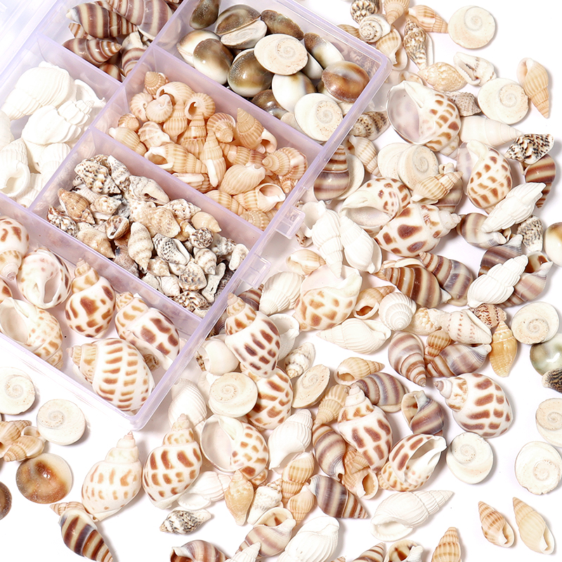 1 Box Sea Shells Spiral Shell  - огляд і ціна Marine Aquarium Decorations