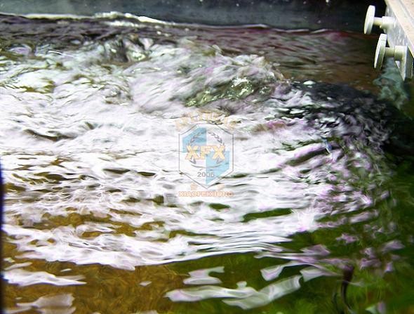 sunsun Jvp-200 newest waver ma - огляд і ціна Aquarium Marine Plants