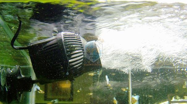 sunsun Jvp-200 newest waver ma - огляд і ціна Aquarium Marine Plants