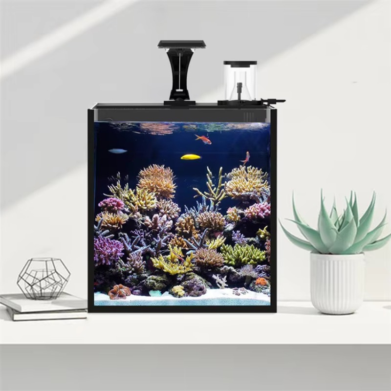 Table Curved Saltwater Marine  - огляд і ціна Aquarium Marine Light