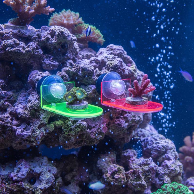 1Pcs Acrylic Fluorescent SPS C - огляд і ціна Coral Frag Plug